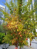 IMG_20250921_115554_1.webp