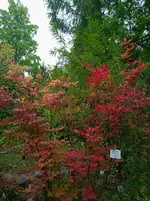IMG_20250921_122937.webp