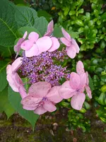 IMG_20250921_123808.webp