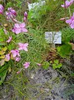 IMG_20250921_125453_1.webp