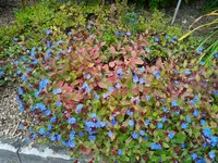 IMG_20250921_134016_1.webp