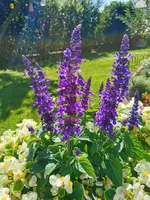 IMG_20250922_130351.webp