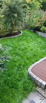 Rasen_2.webp
