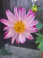 20250923_135321.webp