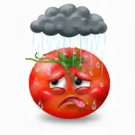 008.webp