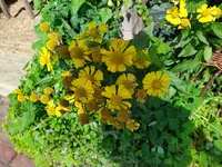 IMG_20250905_125134.webp