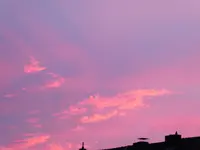005.webp