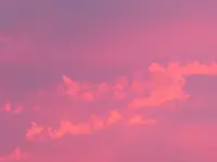 008.webp