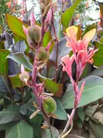 IMG_20250908_133602.webp