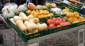 Kürbisse Wochenmarkt.webp