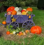Gallery_1758875271885.webp