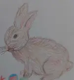 20230408_110114.webp