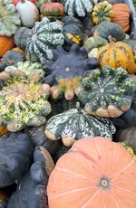 20250927_165013.webp