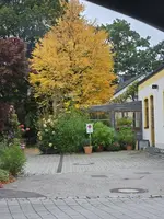 20250923_164203.webp
