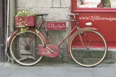 B-Din7.webp B-Din7.webp