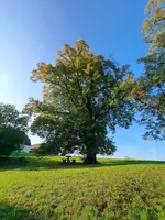 20250928_165205.webp