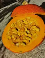 IMG_20250922_085749.webp