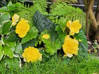 20250928_094904.webp