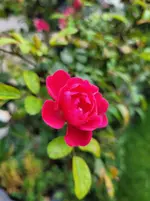 20250928_094947.webp