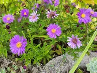 20250928_095114.webp
