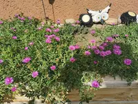 IMG_20250928_120633.webp