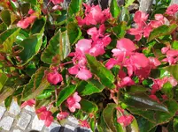 IMG_20250602_131223.webp