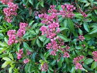 IMG_20250601_154235.webp