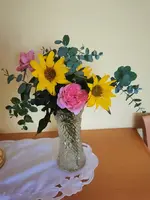 IMG_20250924_115224.webp