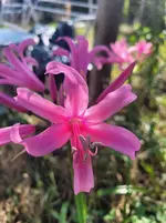 20250928_123632.webp