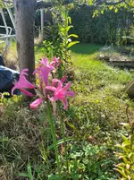 20250928_123627.webp