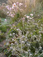 IMG_20251002_075923.webp