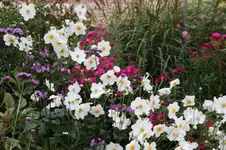 Oktober0125.webp