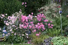 Oktober0225.webp