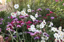 Oktober0325.webp