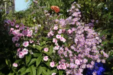 Oktober0725.webp