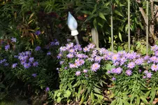 Oktober0825.webp