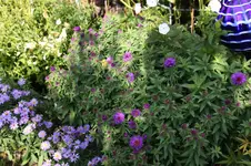 Oktober0925.webp
