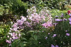 Oktober1025.webp