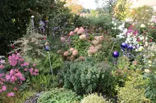 Oktober1125.webp