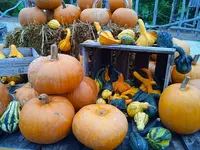 IMG_20250927_135823_1.webp