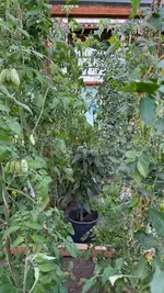 IMG_6480.webp