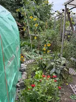 IMG_6476.webp