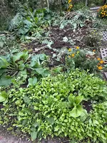 IMG_6475.webp