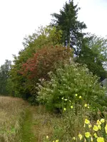 P1150834.webp