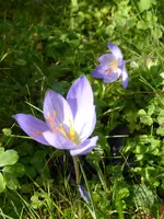 P1160204.webp