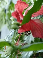 P1160111.webp