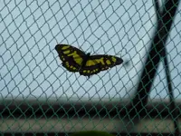 P1160128.webp