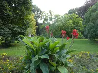P1160180.webp