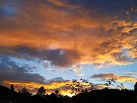 IMG_20251004_185248.webp