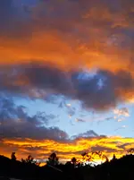 IMG_20251004_185340.webp